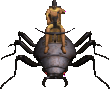 Light War-Beetle